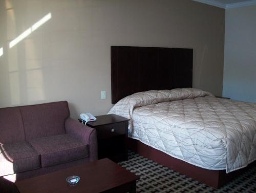 Palace Inn 290 Fairbanks (پالاس این ۲۹۰ فیربانكس) 