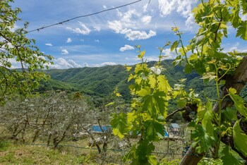 Agriturismo Casa Passerini A Firenze Garden View
