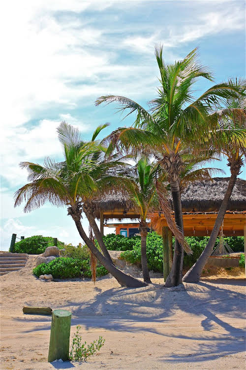 Bimini Sands Resort & Marina 