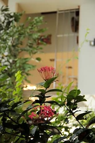 Alamanda Guest House 