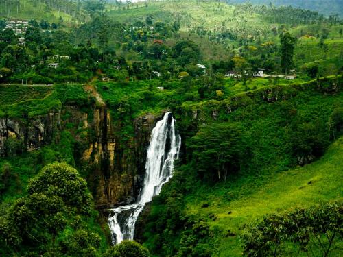 St.clair Holiday Home 