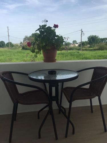 Guest House Aga 