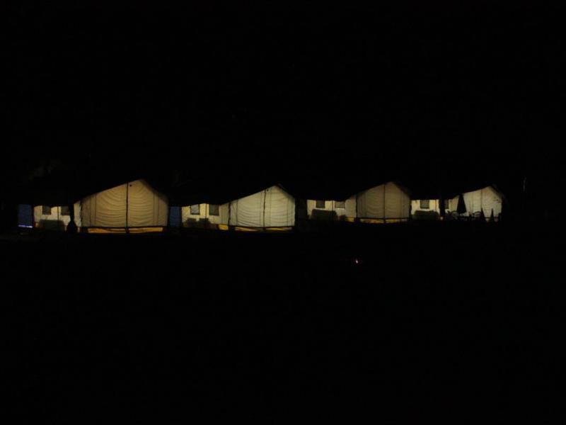 Desert Oasis Camp 