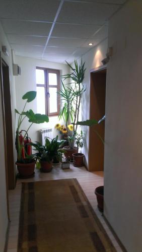 Hotel Bansko Sofia 