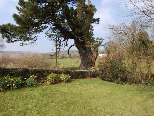 Fern Cottage Kingsbridge 