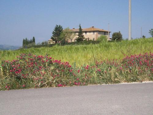 Agriturismo Il Torrione 