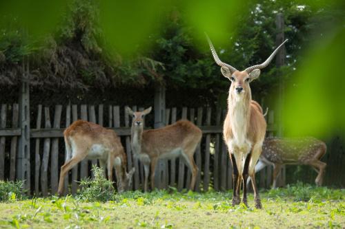 Ca'bevilacqua Bed&breakfast 