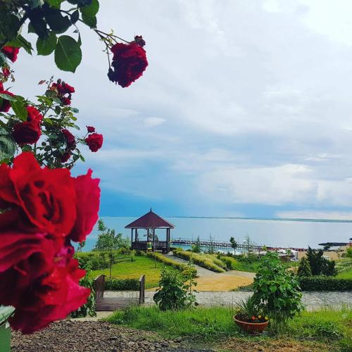 Beach Apartment Krasi Hotel Description