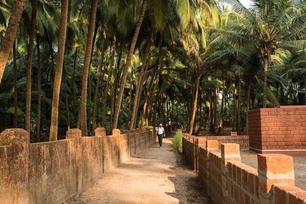 Mango Village Resort 