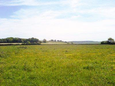 Edgecoombe 