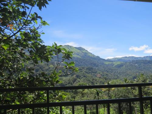 Mistletoe Munnar 