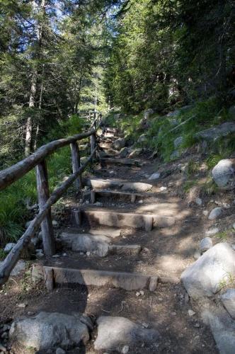 Rifugio Lago Nambino (ریفوجیو لاگو نامبینو) 