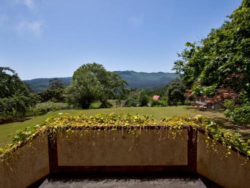 Quinta Das Colmeias (کوینتا داس كولمیاس) 