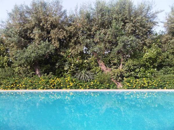 B&b Villa A Case Rosse 