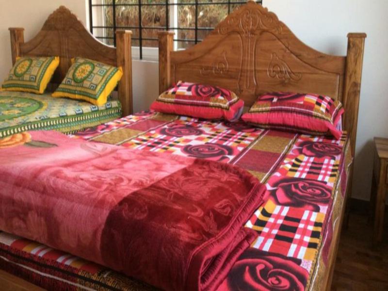Bearcountry Homestay 