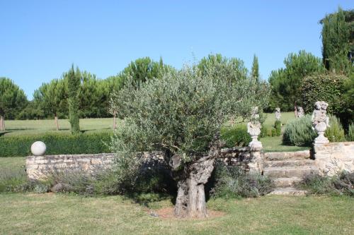 Domaine De Labarthe Maison D'hotes 