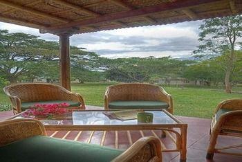 Jungle Hut 