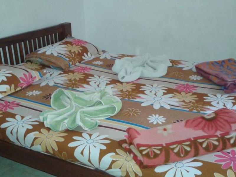 Summer Guest House 