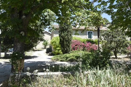 Campagne Paumier 
