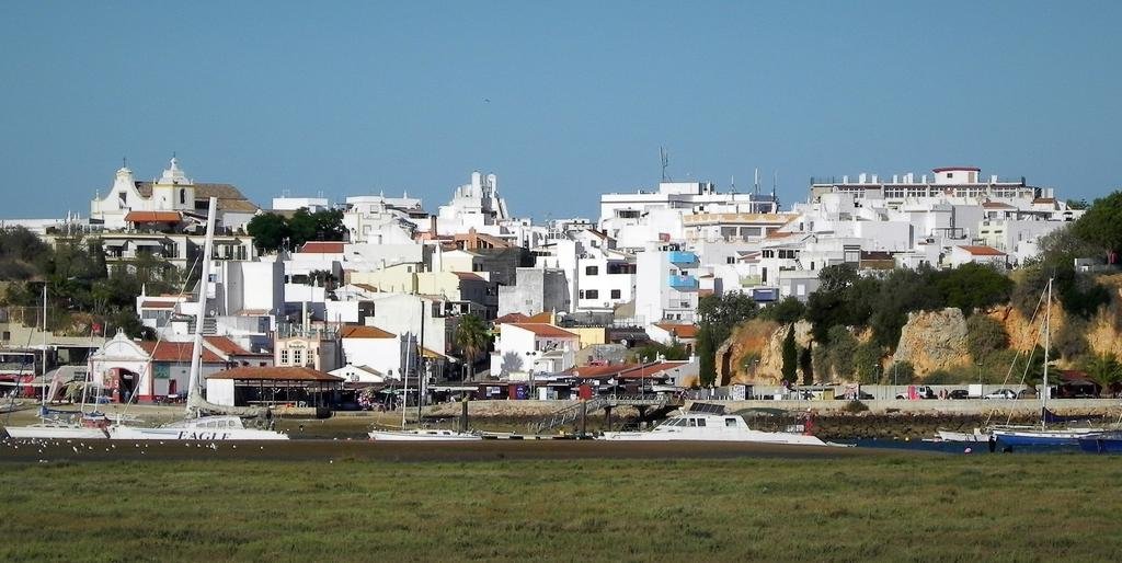 Poupa D'alvor 