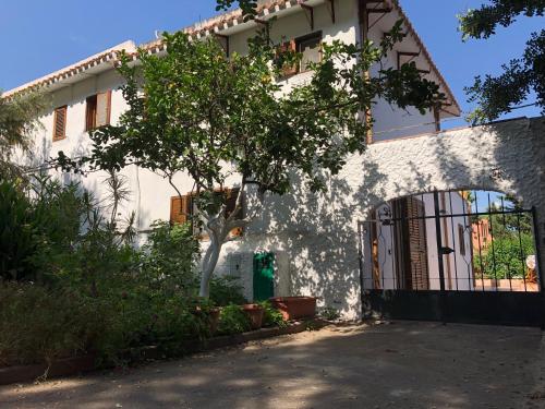 Casa Caboni 