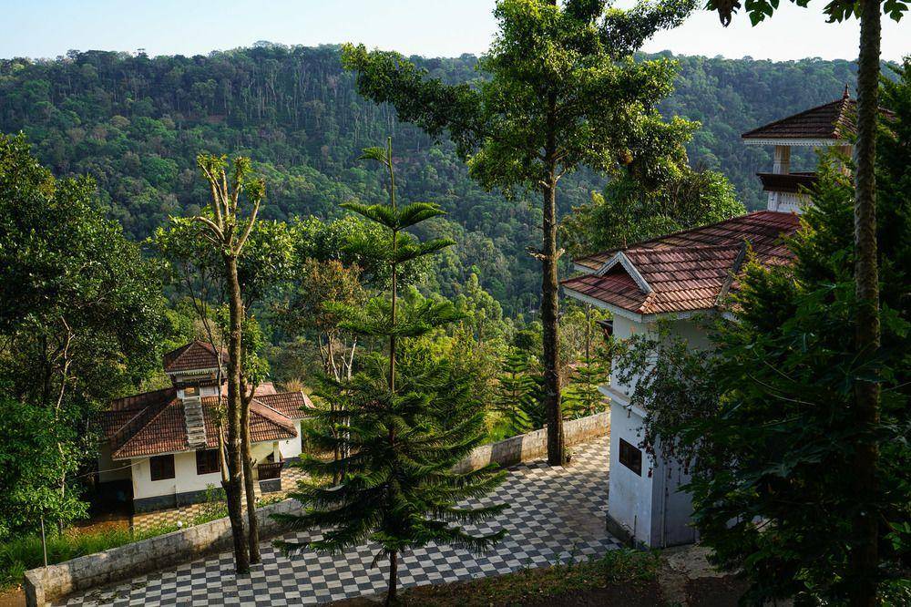 Oyo 11493 Hotel Misty Valley 