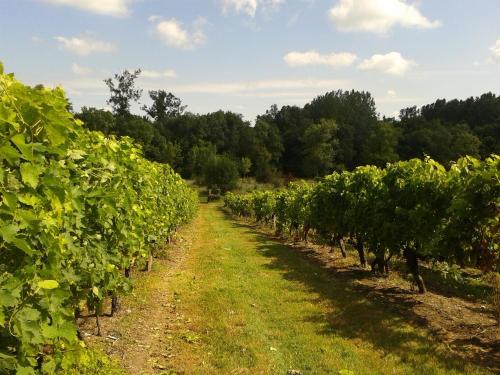 Domaine De La Grande Motte 