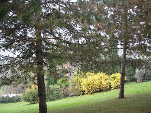 Residenza T'allicon 