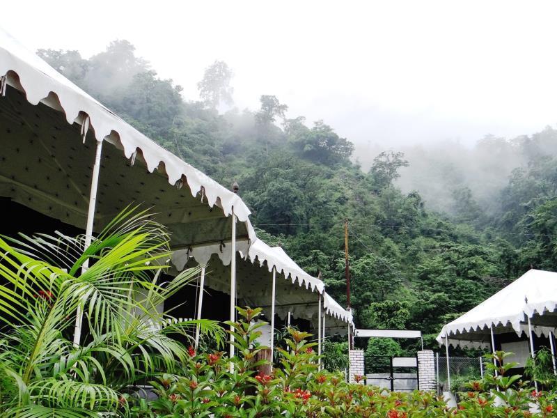 Camp Aqua Forest 