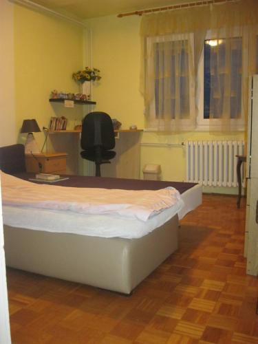 Cosy Apartment 
