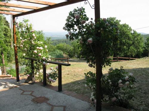 Casale Degli Olmi 