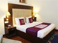 Oyo Premium Luxurious Castle 