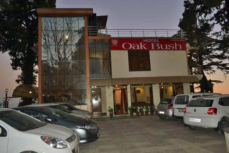 Hotel Majestic Oak Bush 