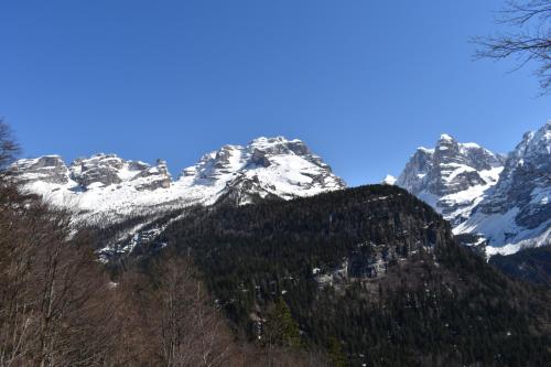 Chalet Brenta Dolomites 