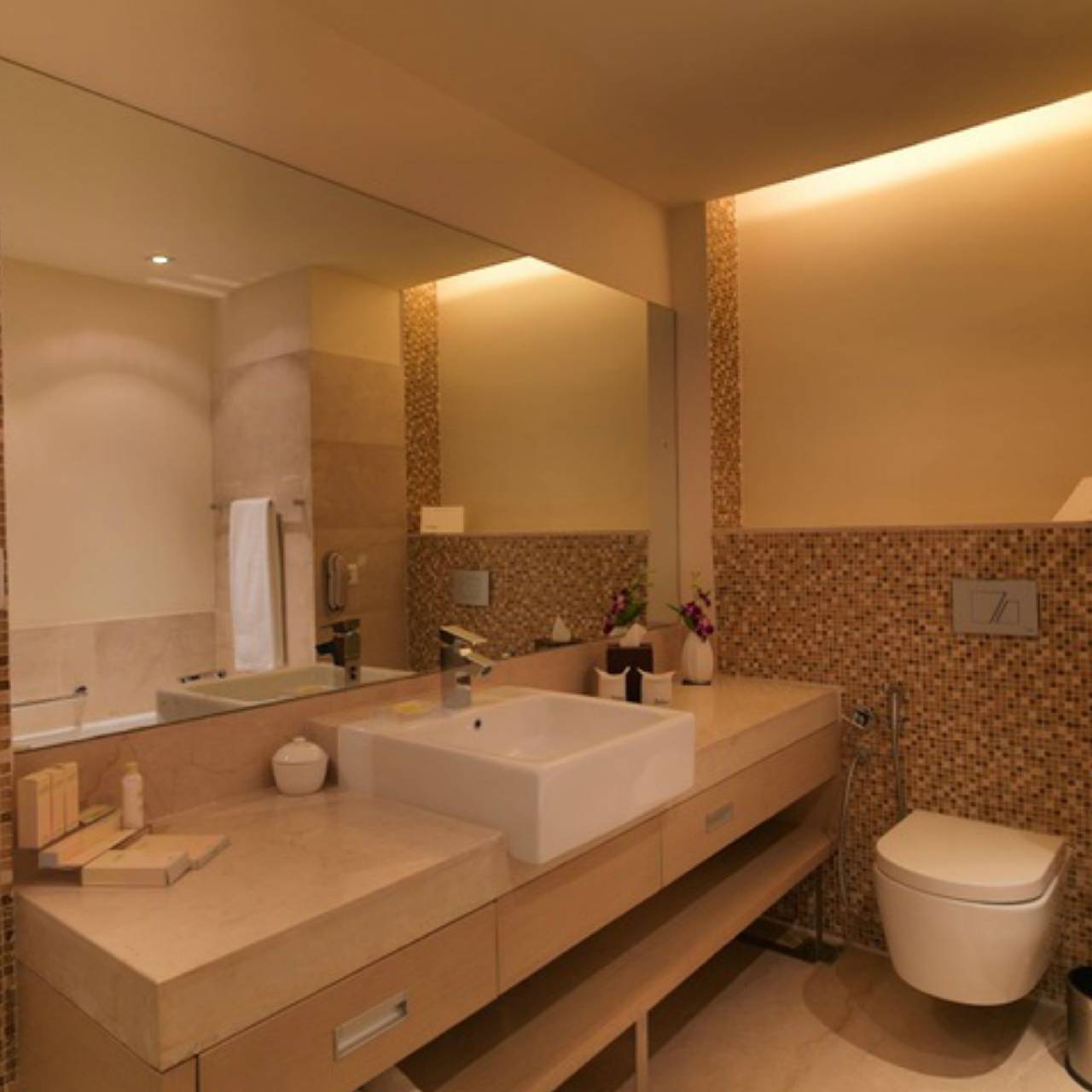 Radisson Blu Hotel Greater Noida 