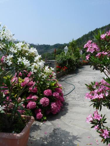 La Villa Antica Delle Cinque Terre 