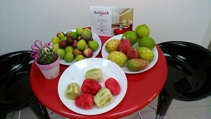 Arenaria B&b 