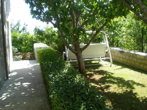 Apartments Roza 