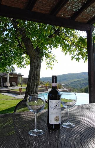 Special And Nice Close To The Chianti 