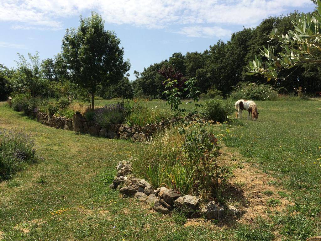 Agriturismo Palareta 