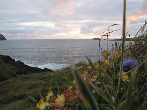 An Dooneen The Hurley Farm B&b 