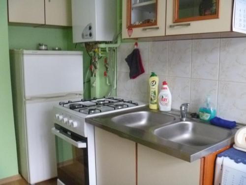 Apartament Centrum Wejherowa (آپارتامنت كنتروم وجهرووا) 