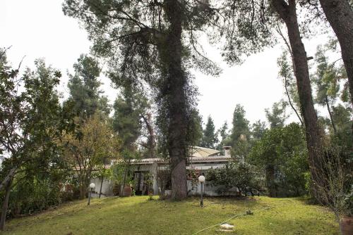 Sani Cottage 