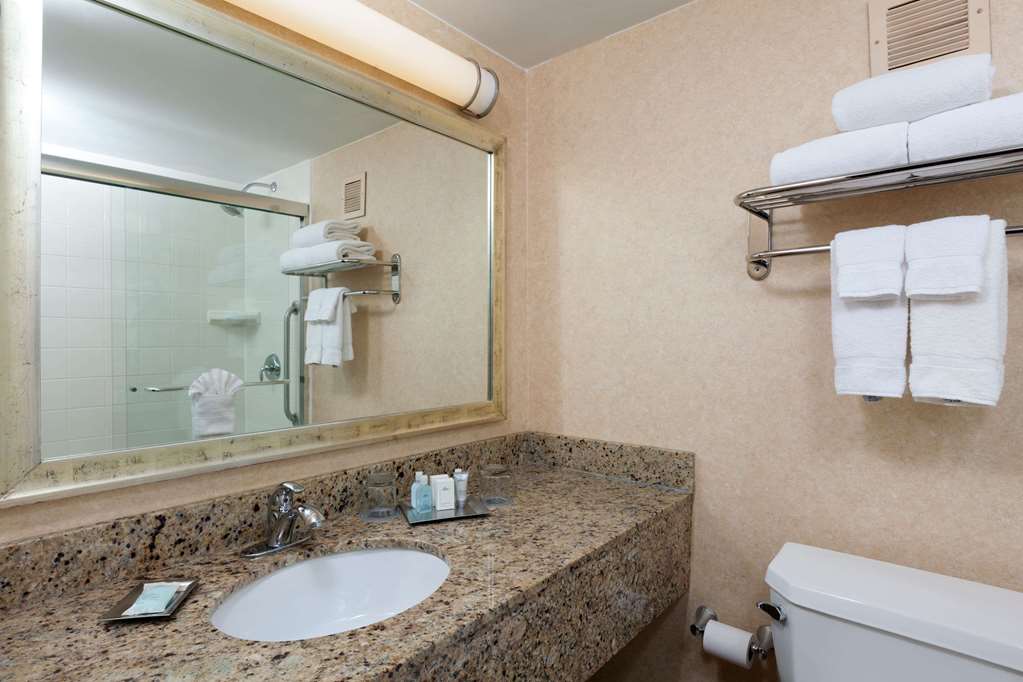 Wyndham Boston Beacon Hill (ویندهام بوستون بیكون هیل) Guest room