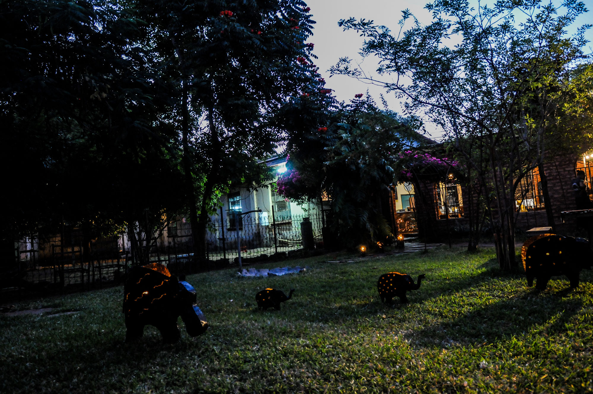 Zig Zag Town Lodge Hostel 