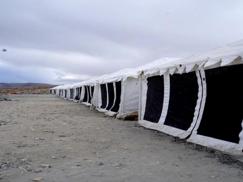 Ladakh Summer Pangong Camp 