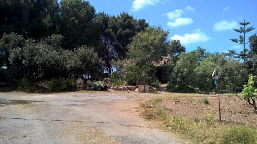 The Pineta Apartment ( پینتا آپارتمان) 