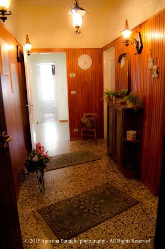 Le Fate Dei Fiori 