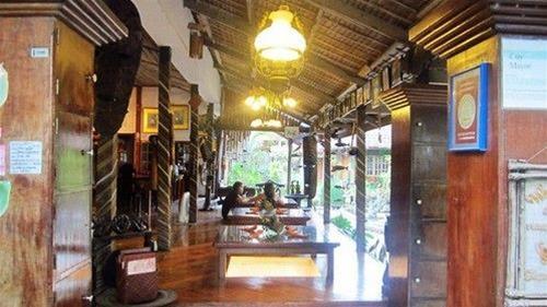 The Lotus Garden Suites 