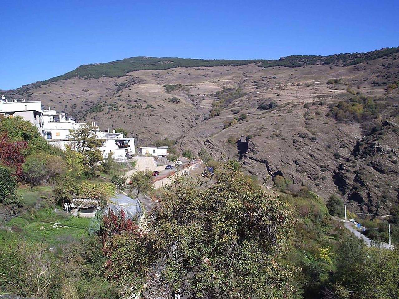 El Vergel De Berchules 